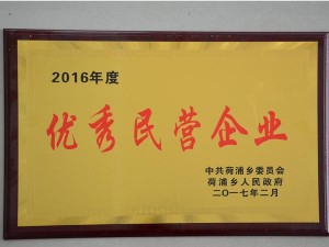 2016年度优秀民营企业