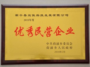 2015年度优秀民营企业