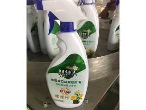 家居办公盆景专用（B）